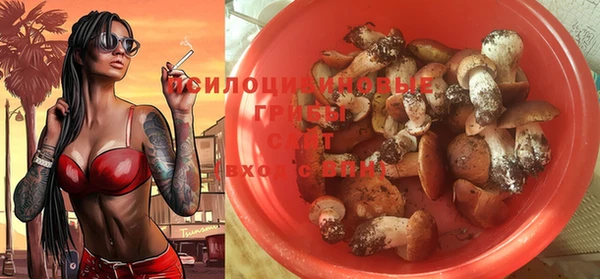 твердый Остров