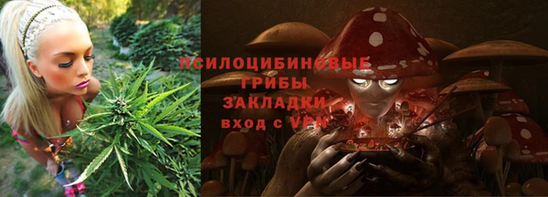 эйфоретик Богородск