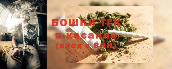 сатива Осинники